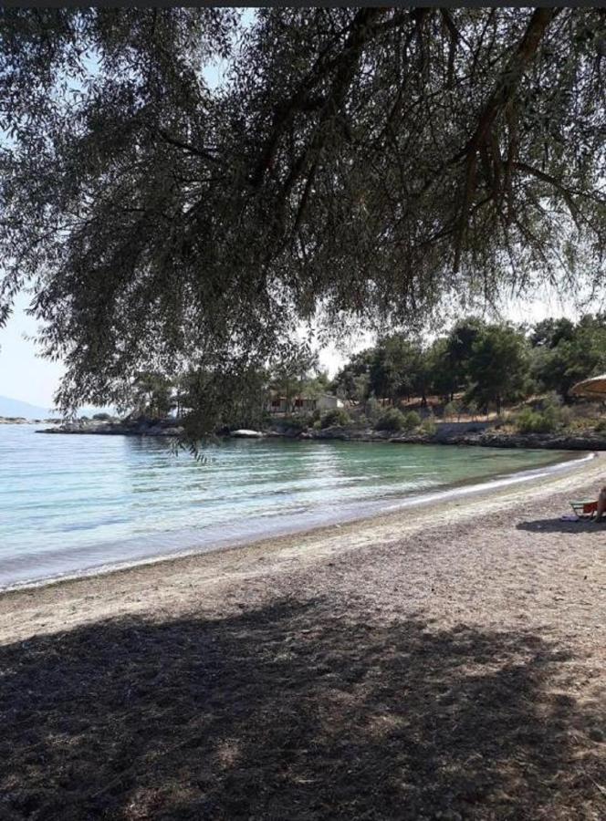 Vila Alexander'S Kritharia  Exteriér fotografie
